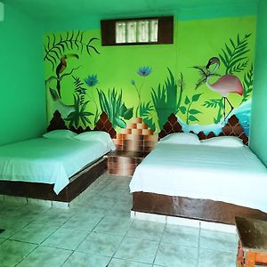 Habitación Cuádruple