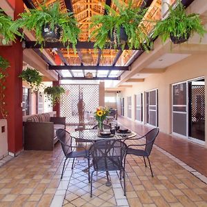 Terraza Studios